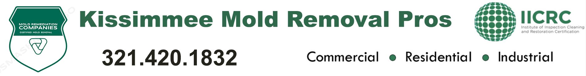 Kissimmee Mold Removal Pros