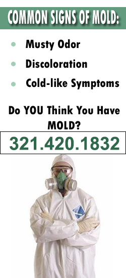 Kissimmee Mold Remediation Contractor